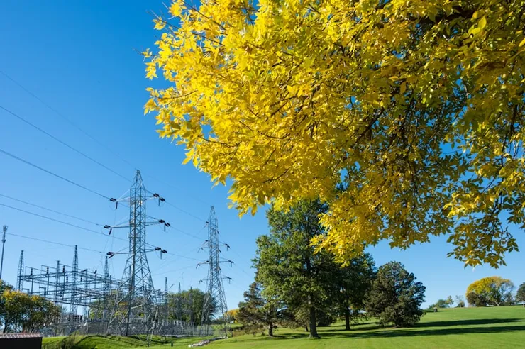 Electric utility infrastructure and tower